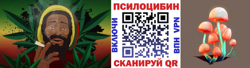 Псилоцибиновые грибы Cubensis  купить закладку  Кондрово 